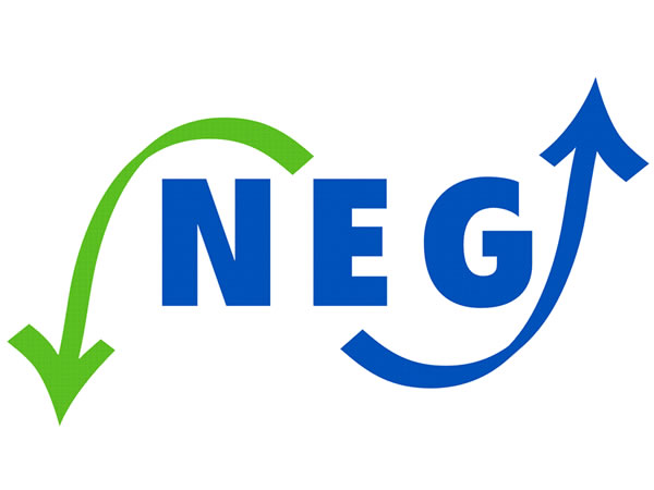 Logo NEG